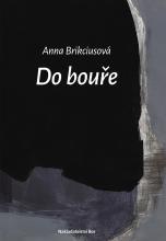 Anna Brikciusová: Do bouře (2020), Na obálce knihy reprodukce obrazu Josefa Žáčka. Nakladatelství Bor