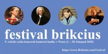 Festival Brikcius 2020 - https://www.Brikcius.com/Festival