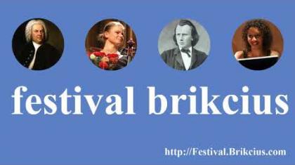 Festival Brikcius - 6. ročník cyklu koncertů komorní hudby v Praze (1. - 16. listopad 2017)