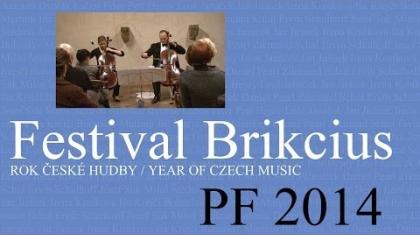 Festival Brikcius - Rok české hudby 2014