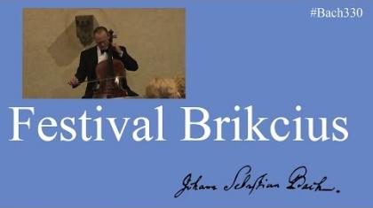 Festival Brikcius 2015